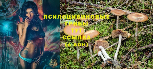 таблы Алексеевка
