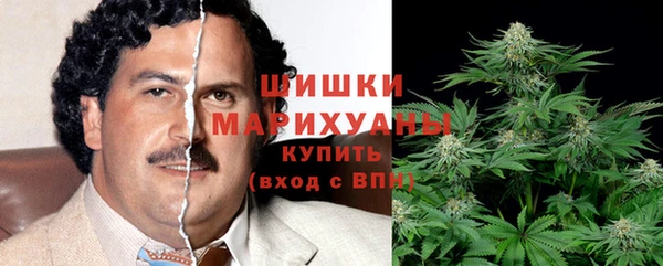 метадон Алексин